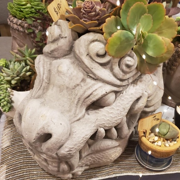 Succulents unique hand made artistic - Picture 7 of 7